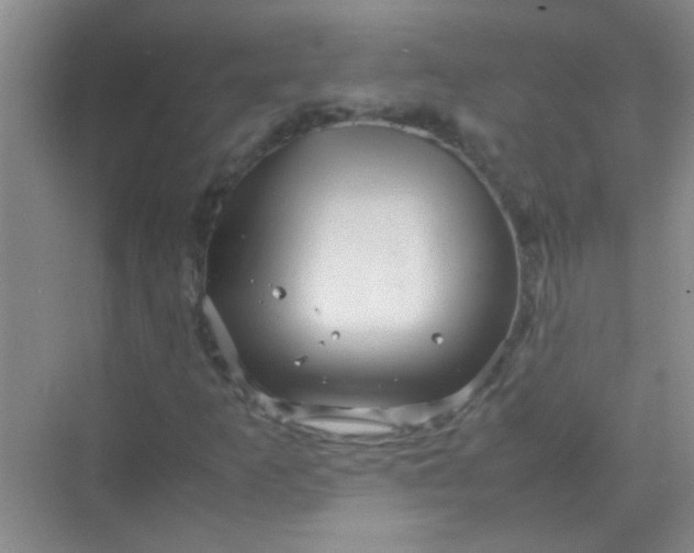 X0000070231253200606091708