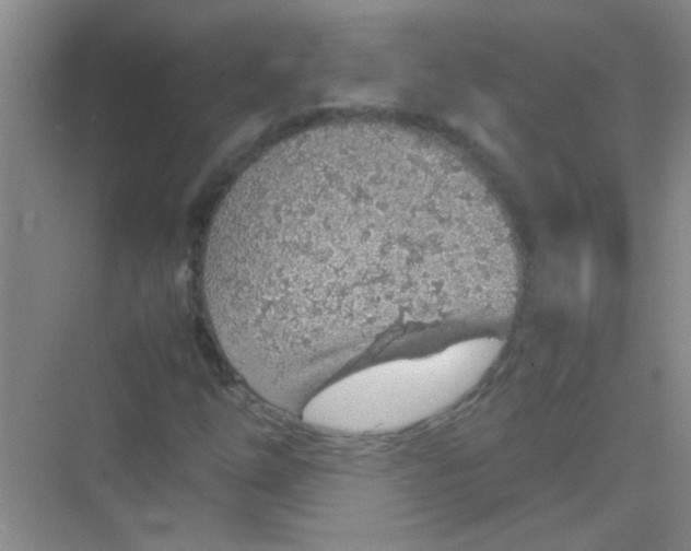 X0000070231254200606091708