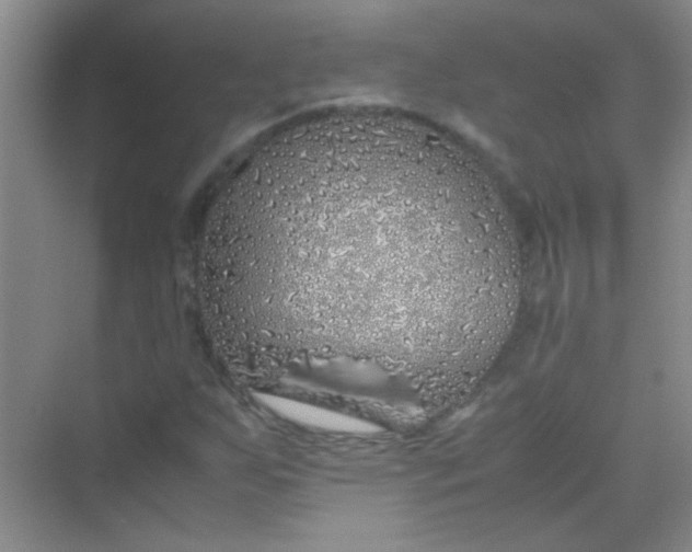 X0000070231255200606091708