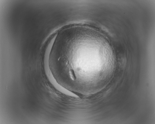 X0000070231256200606091708