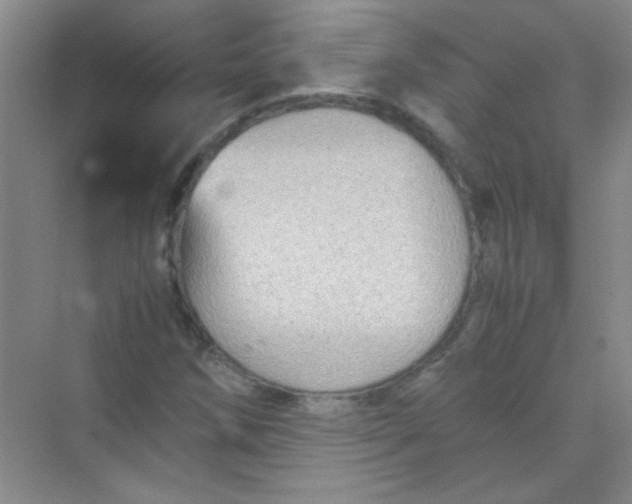 X0000070231258200606091708