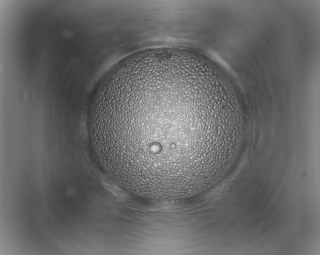 X0000070231259200606091708