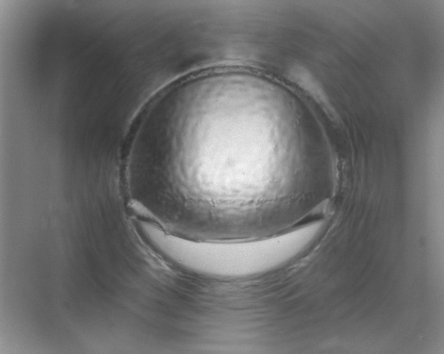 X0000070231260200606091708