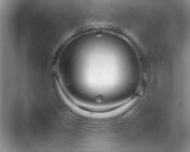 X0000070231261200606091708