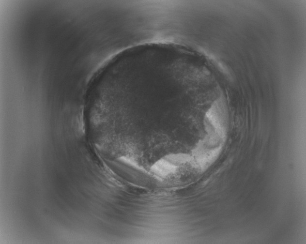 X0000070231262200606091708