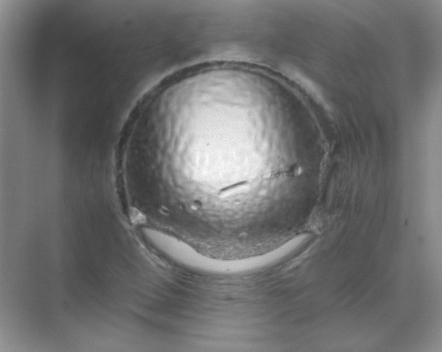 X0000070231264200606091708