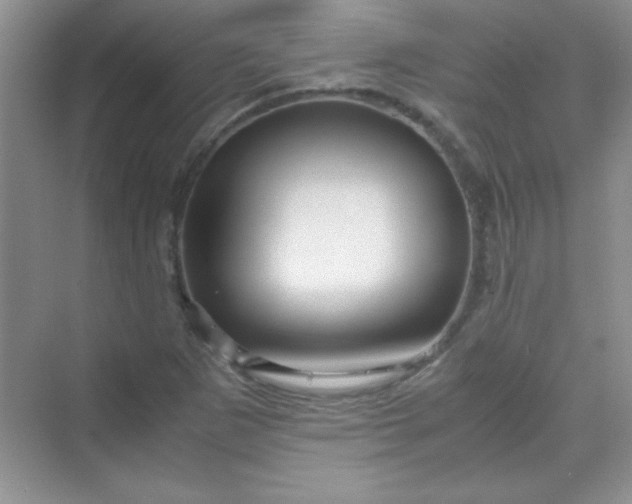 X0000070231265200606091708