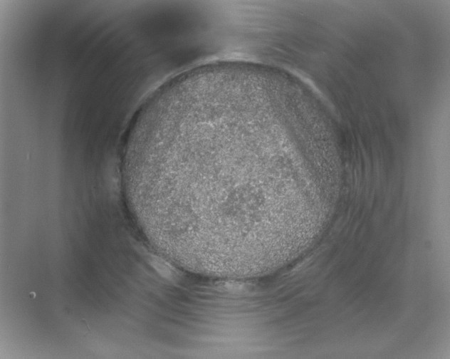 X0000070231266200606091708