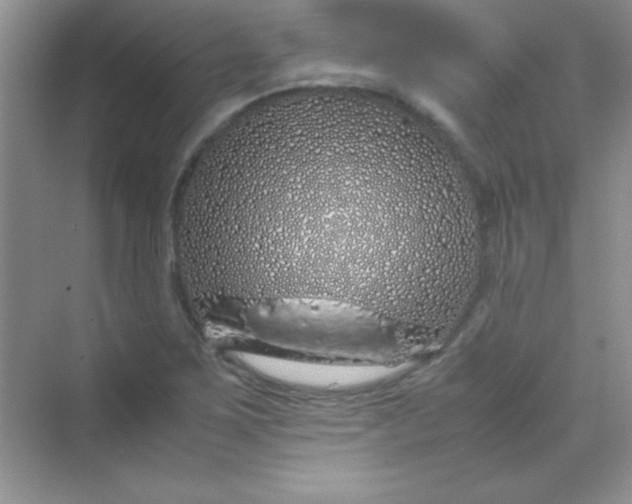 X0000070231267200606091708