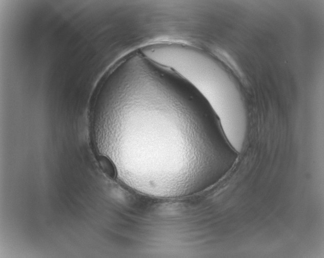 X0000070231268200606091708