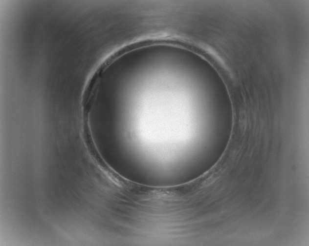 X0000070231270200606091708