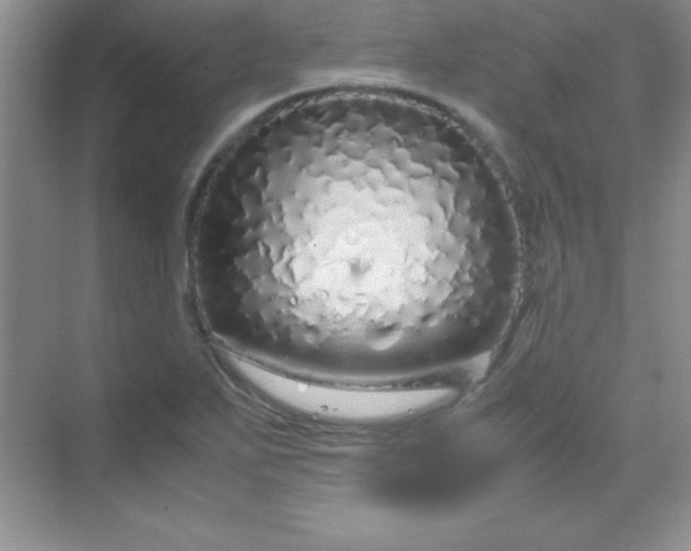 X0000070231271200606091707