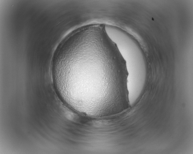 X0000070231272200606091707