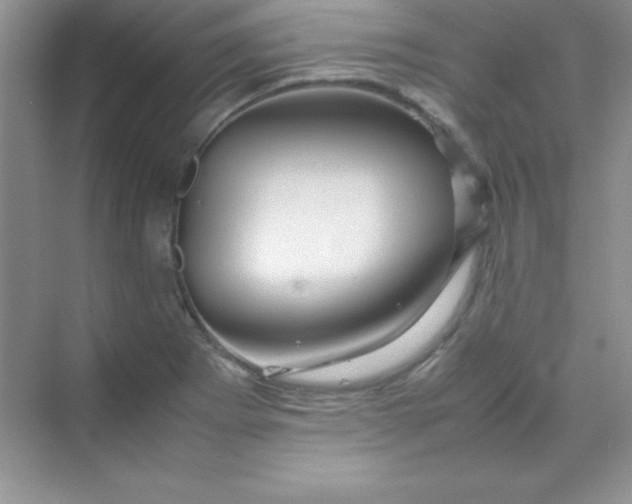 X0000070231273200606091707