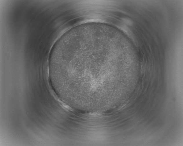 X0000070231274200606091707