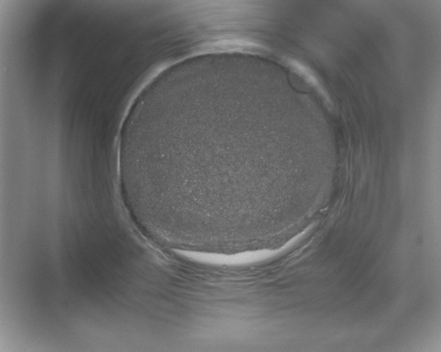 X0000070231275200606091707