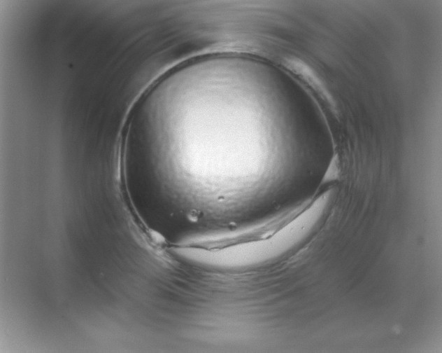 X0000070231276200606091707