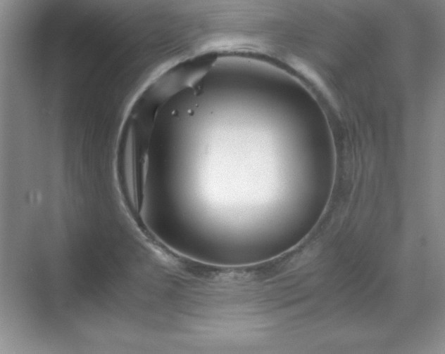 X0000070231277200606091707