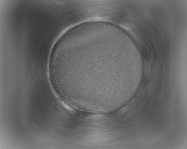 X0000070231278200606091707