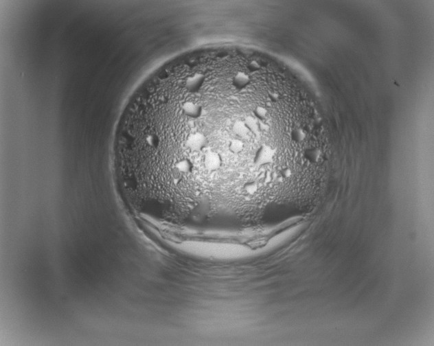 X0000070231279200606091707