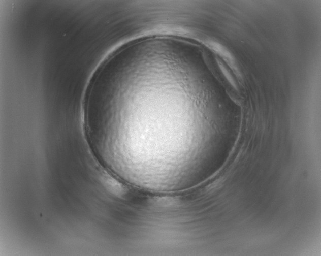 X0000070231280200606091707