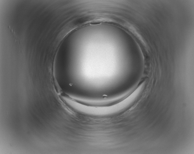 X0000070231281200606091707