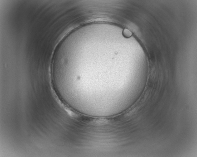 X0000070231282200606091707