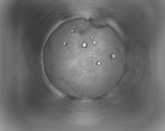 X0000070231283200606091707