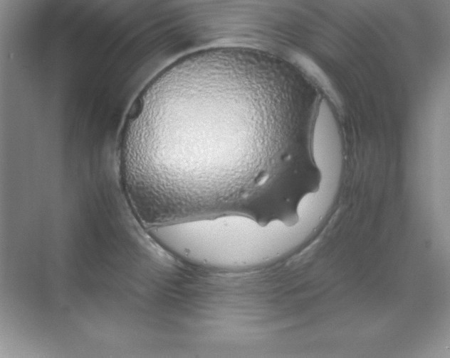 X0000070231284200606091707