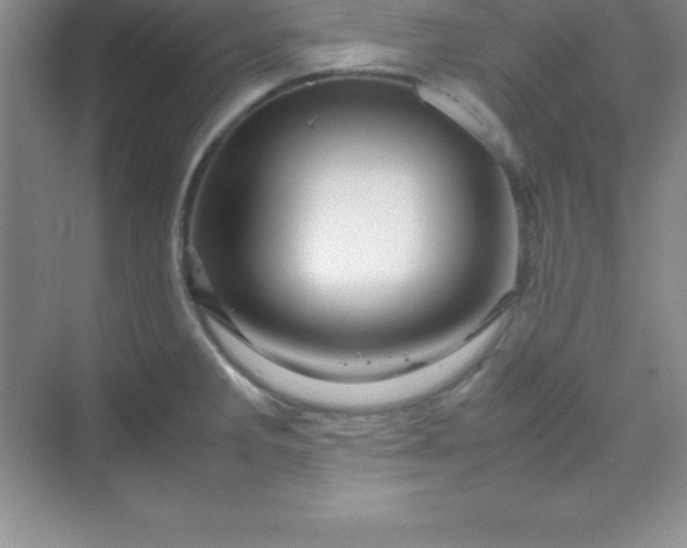 X0000070231285200606091707