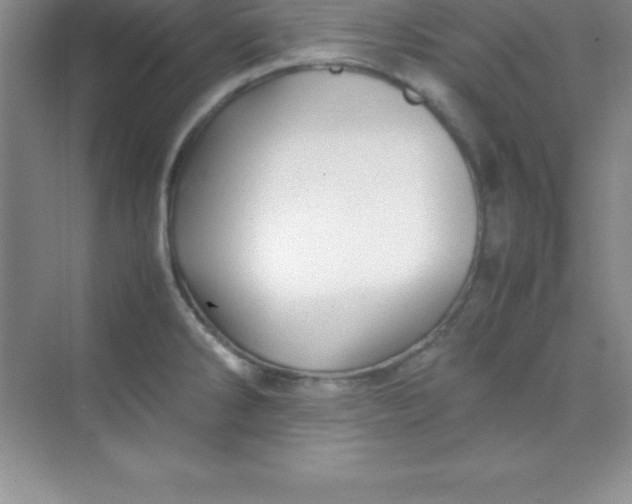 X0000070231286200606091707