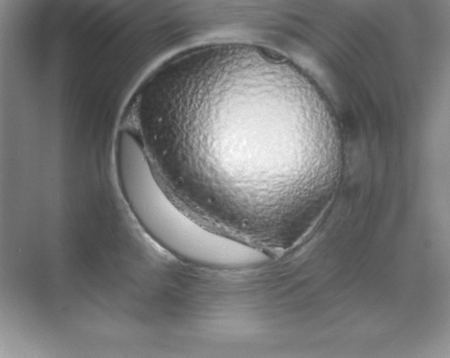 X0000070231288200606091707