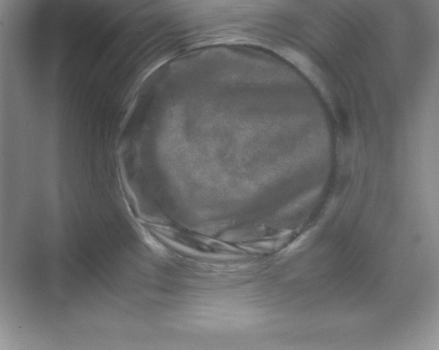 X0000070231289200606091707