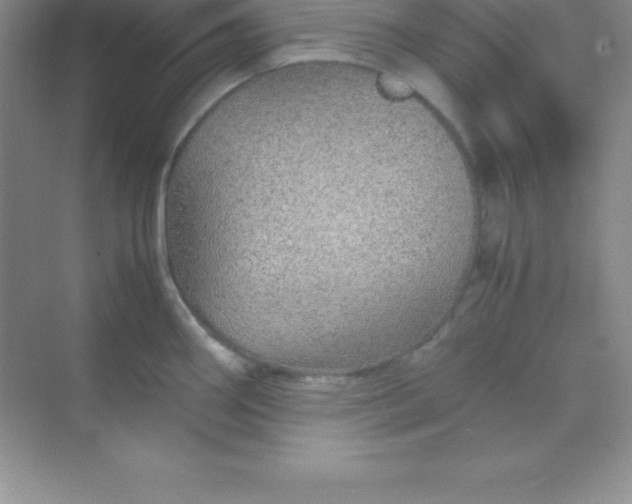 X0000070231290200606091707