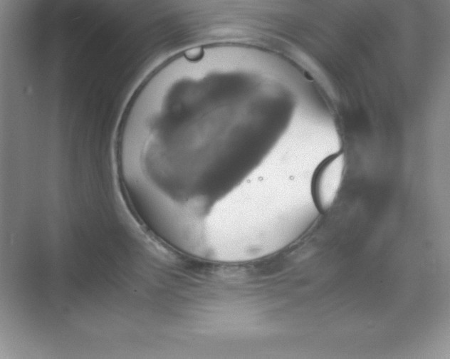 X0000070231291200606091707