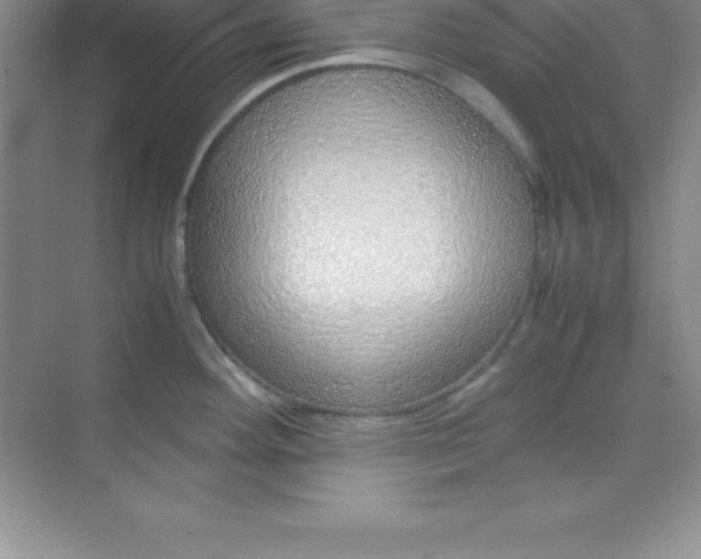 X0000070231292200606091707