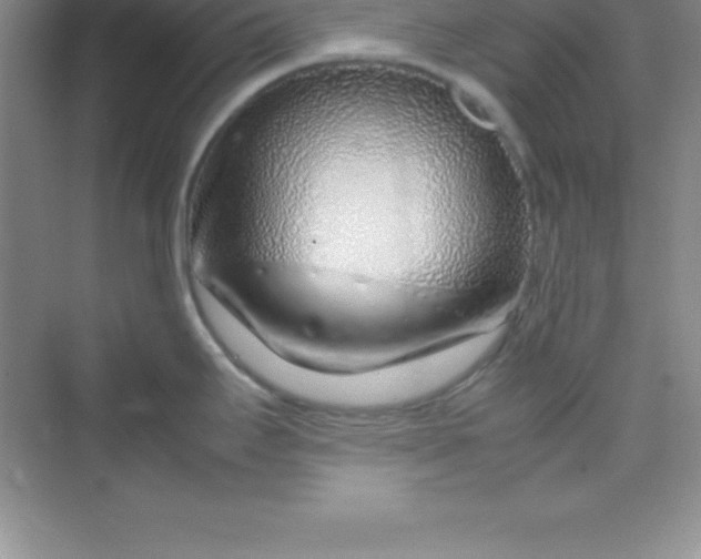 X0000070231295200606091707