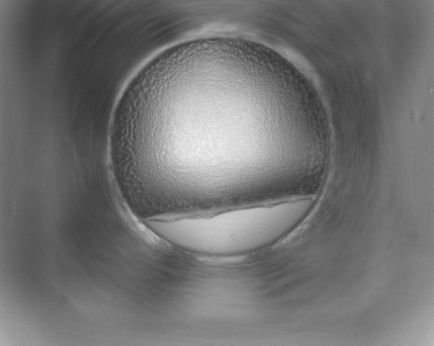 X0000070231296200606091707