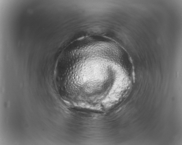 X0000070231297200606091706