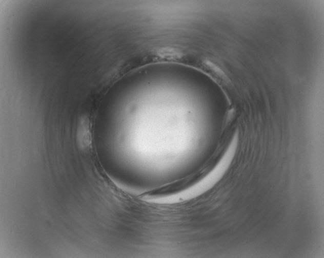 X0000070231298200606091706