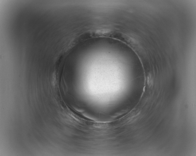 X0000070231299200606091706