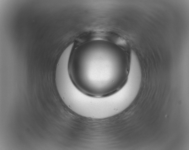 X0000070231300200606091706