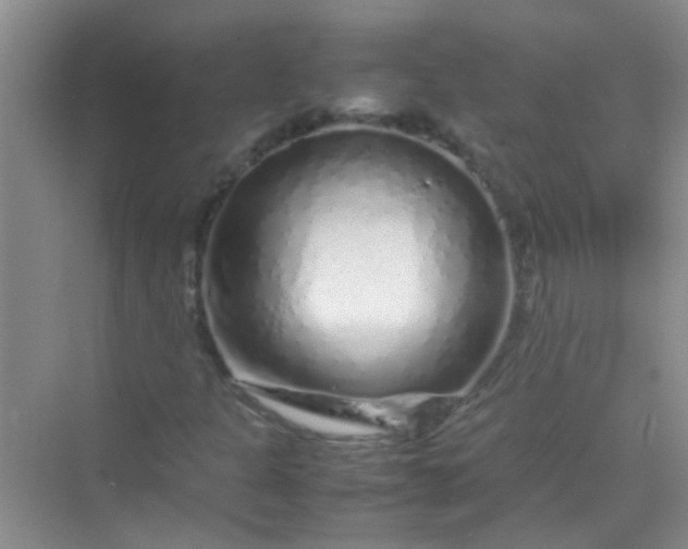 X0000070231301200606091706