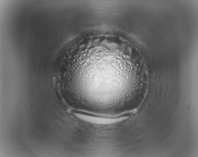 X0000070231302200606091706