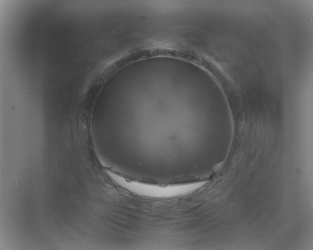 X0000070231303200606091706