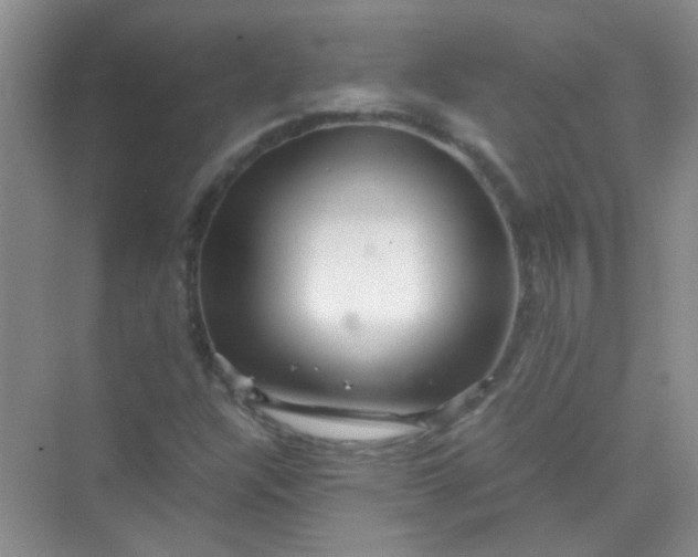 X0000070231304200606091706