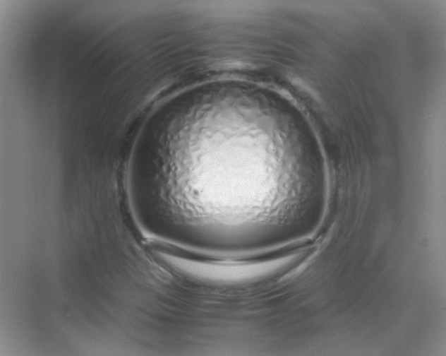 X0000070231305200606091706