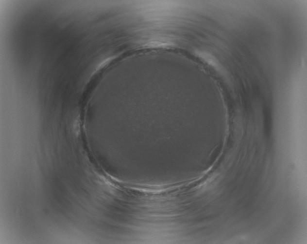 X0000070231306200606091706