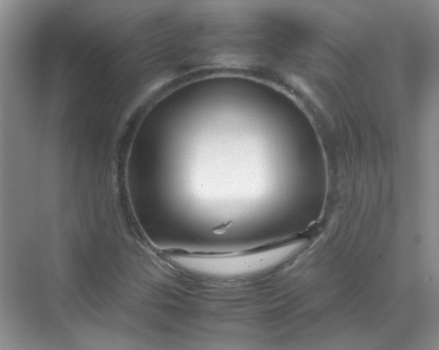 X0000070231307200606091706