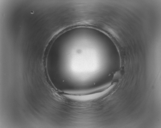 X0000070231308200606091706